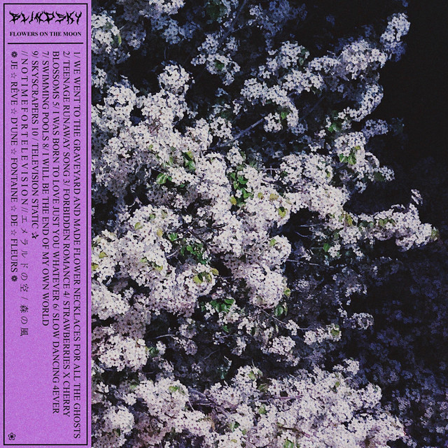 Flowers on the Moon Album by BlindSky Spotify