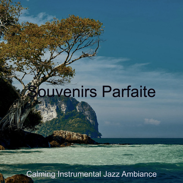Souvenirs Parfaite Album by Calming Instrumental Jazz Ambiance Spotify