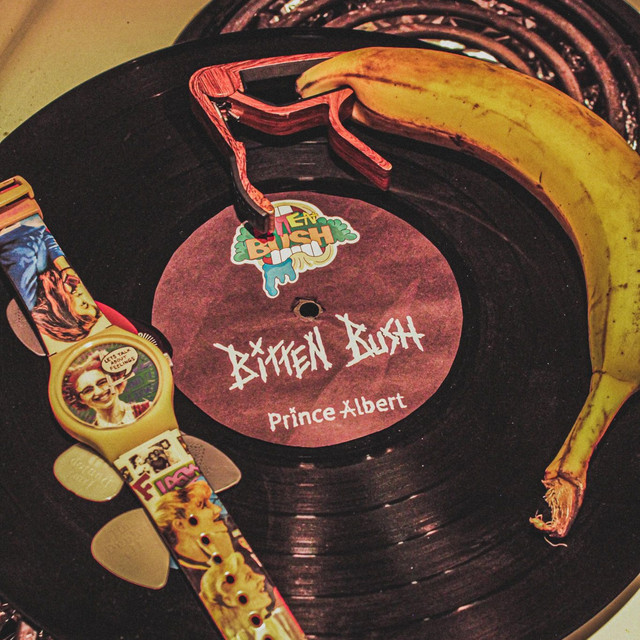 Prince Albert song and lyrics by Bitten Bush Spotify