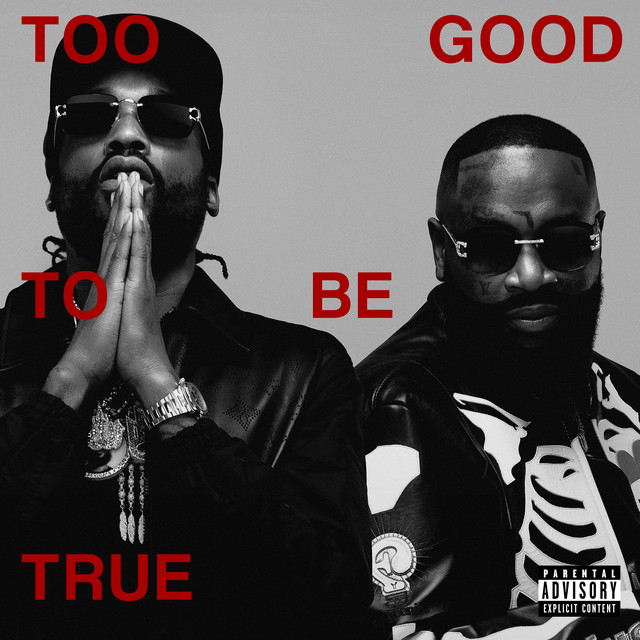 Too Good To Be True Album by Rick Ross Spotify