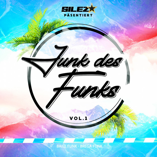 Junk des Funks vol.1 Album by Silez Spotify