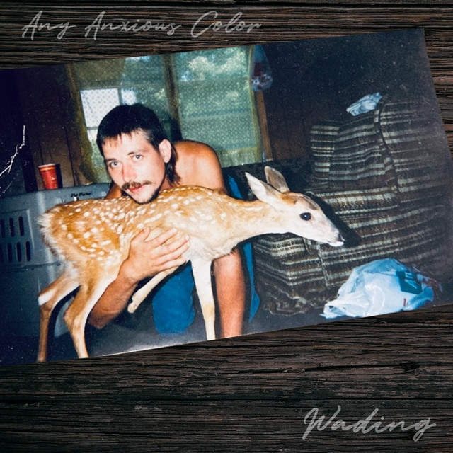 Wading song and lyrics by Any Anxious Color Spotify