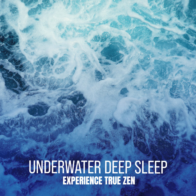 Underwater Deep Sleep Experience True Zen Album by Underwater Deep
