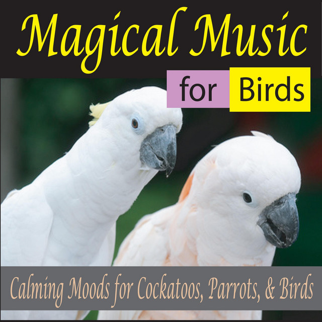 Magical Music for Birds Calming Moods for Cockatoos, Parrots, & Birds
