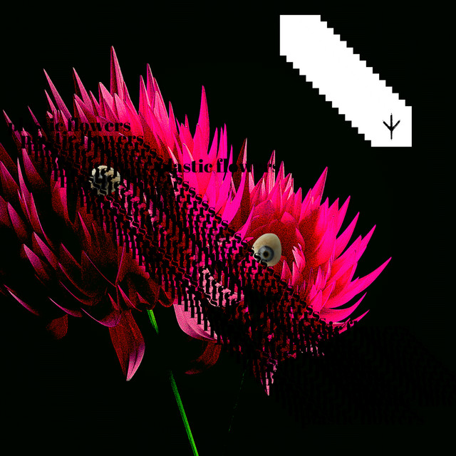 Plastic Flowers song and lyrics by Beakfeet Spotify