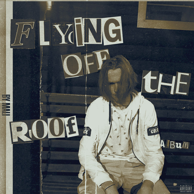 Flying Off the Roof Album by MALI Spotify