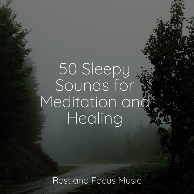 50 Sleepy Sounds for Meditation and Healing Album by Relaxing Sleep