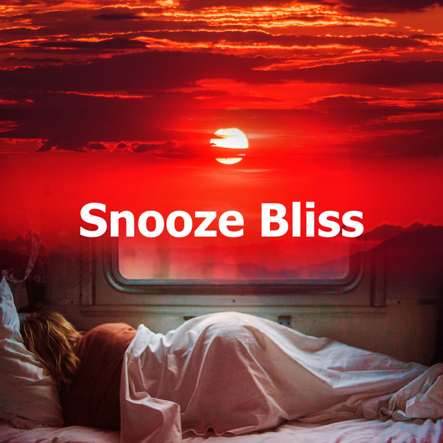 Snooze Bliss Album by Easy Sleep Music Spotify