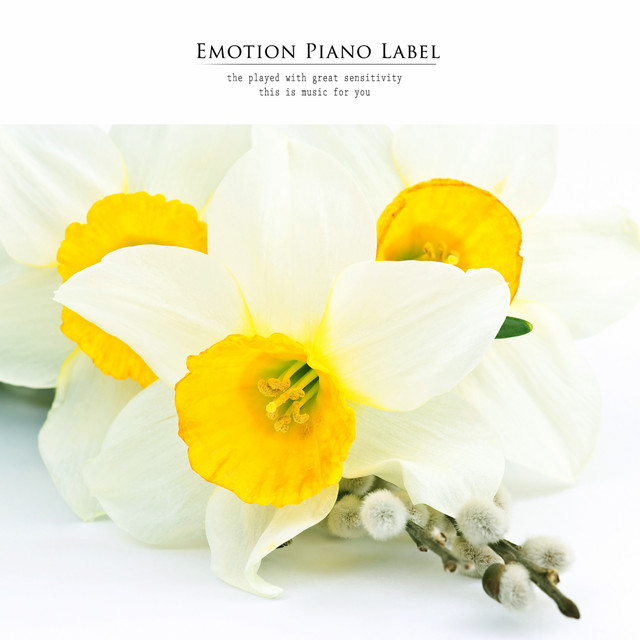 Love that blooms in white song and lyrics by Come2Me Spotify