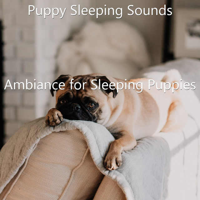 Atmosphere for Relaxing Dogs song and lyrics by Puppy Sleeping Sounds