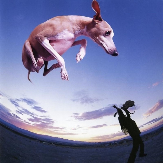 Flying Dog Album by Paul Gilbert Spotify