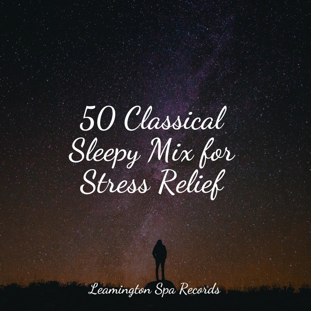Relaxation song and lyrics by White Noise Sleep Sounds, Reiki Music, The Rain Library Spotify