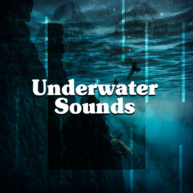 Underwater Sounds ! ! ! ! Album by Underwater Deep Sleep White Noise