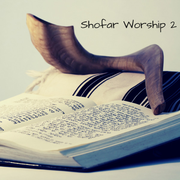 Shofar Worship 2 Single by Kyle Lovett Spotify