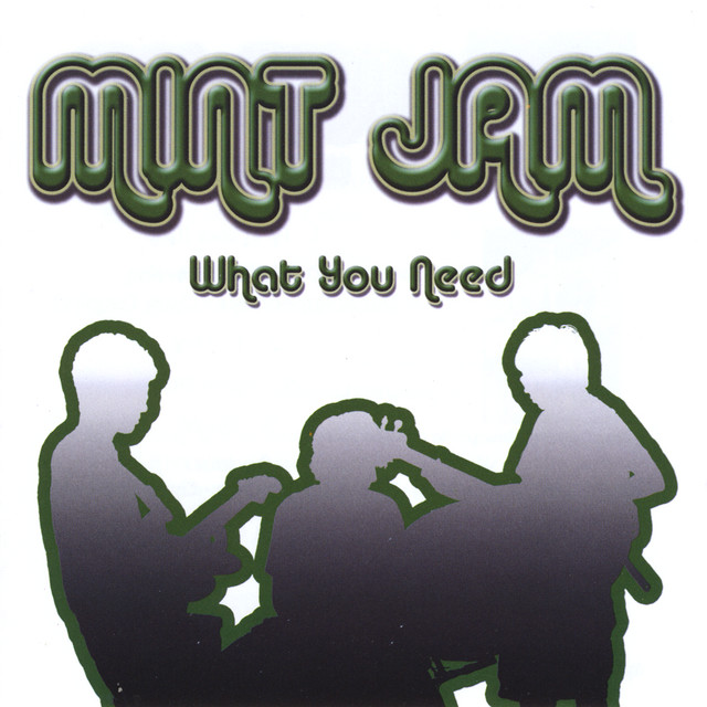 What You Need Album by Mint Jam Spotify