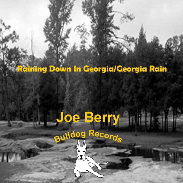 Raining Down in / Rain Single de Joe Berry Spotify