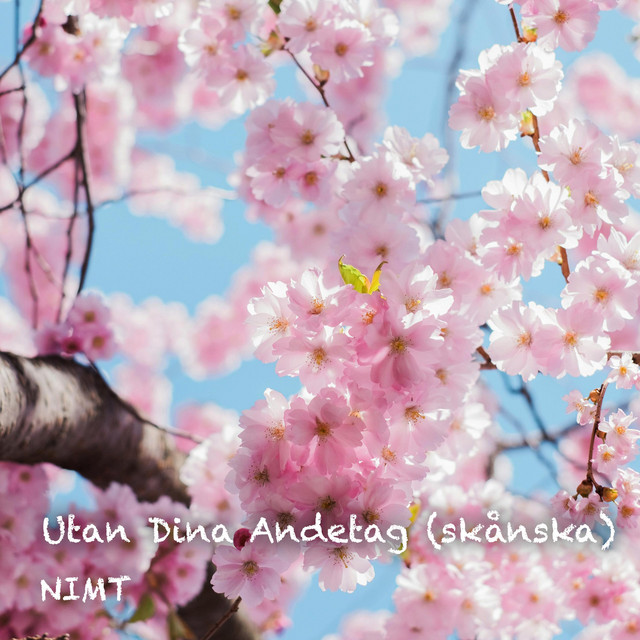 Utan dina andetag skånska song and lyrics by NIMT Spotify