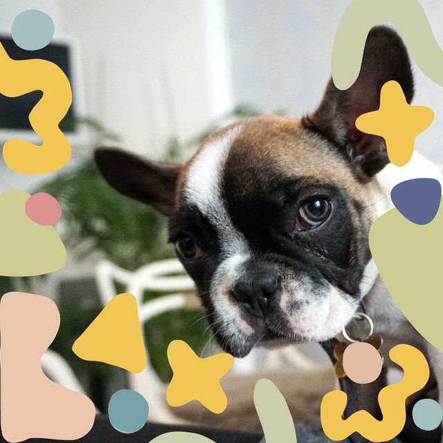 How Long Is An Hour In Dog Time