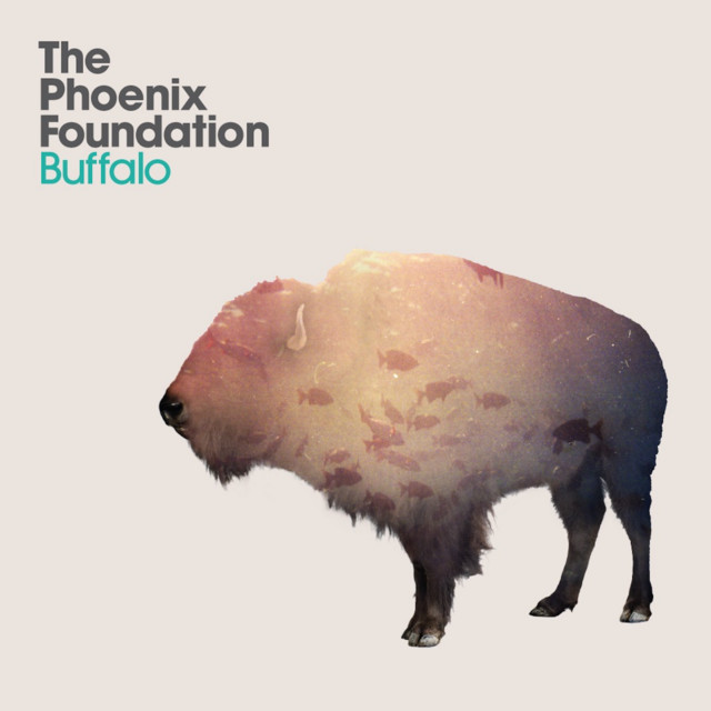 Buffalo song and lyrics by The Phoenix Foundation Spotify
