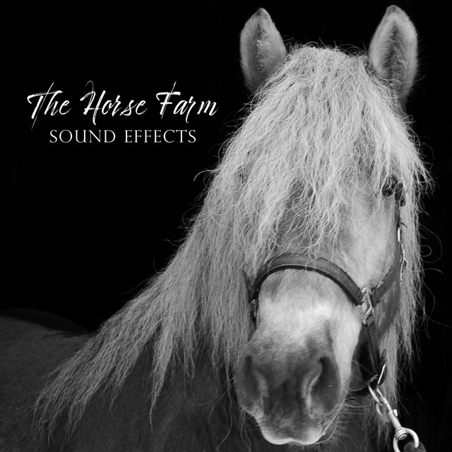 The Horse Farm Sound Effects (Relaxing, Sleepy and Calming Noises) Album by Sound Effects Zone