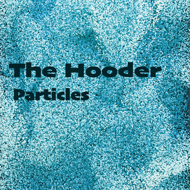 The Hoodz Concert & Tour History Concert Archives