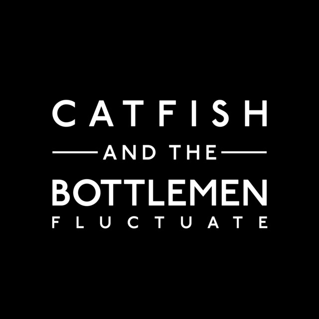 Fluctuate song and lyrics by Catfish and the Bottlemen Spotify