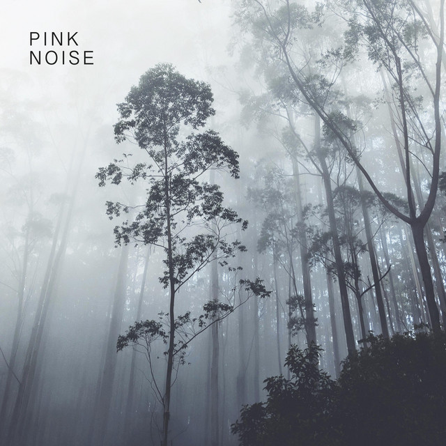 Best Pink Noise 2021 Album by Pink Noise Spotify