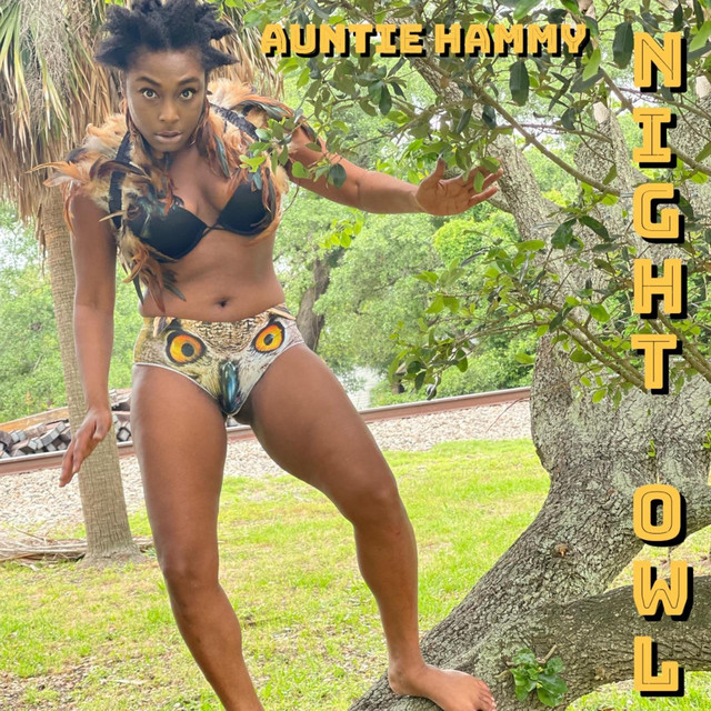 Night Owl - Audiobook by Auntie Hammy | Spotify