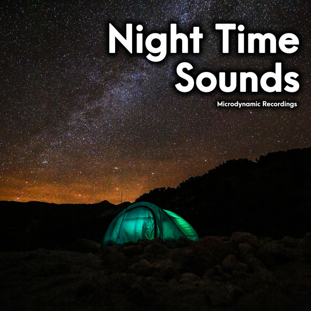 Night Time Sounds Album by Microdynamic Recordings Spotify
