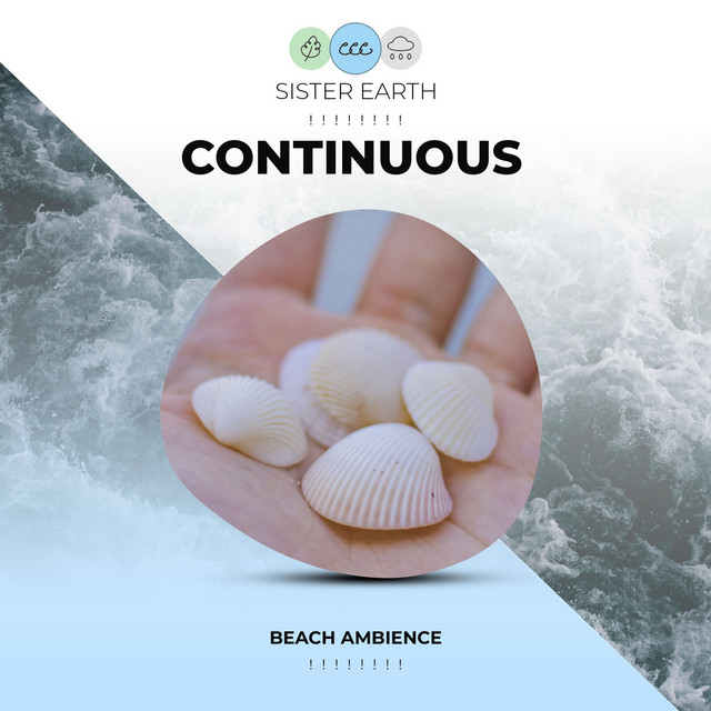 Continuous Beach Ambience ! ! ! ! ! ! ! ! Album by Calm Sea Sounds Spotify