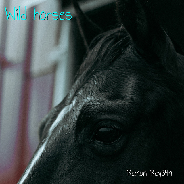 Wild Horses (Unplugged) Single by Remon Rey349 Spotify