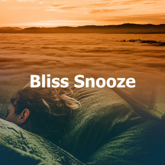 Bliss Snooze Album by Easy Sleep Music Spotify