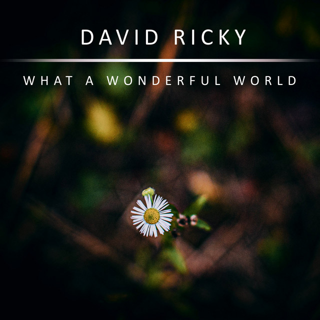 What a Wonderful World song and lyrics by David Ricky, Tony Drake