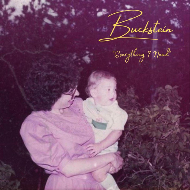 Everything I Need Single by Buckstein Spotify
