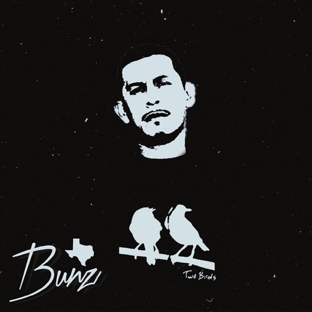 Stand Up Album by Bunz Spotify