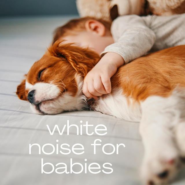 White Noise for Babys Album by White Noise for baby deep sleep Spotify