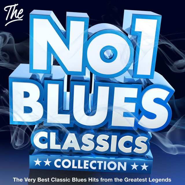 Dust My Broom song and lyrics by Elmore James Spotify