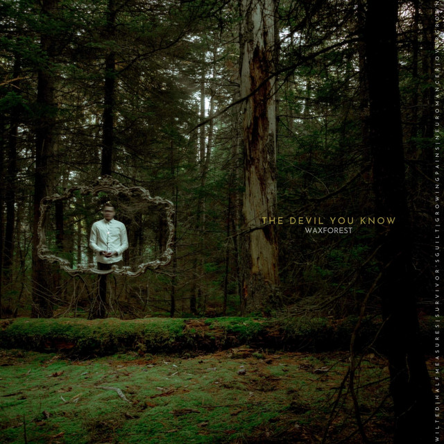 Half Measures song and lyrics by Waxforest Spotify