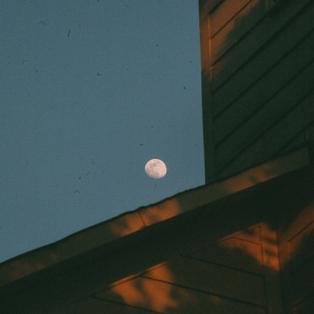 Quiet Skies Single by alhivi Spotify