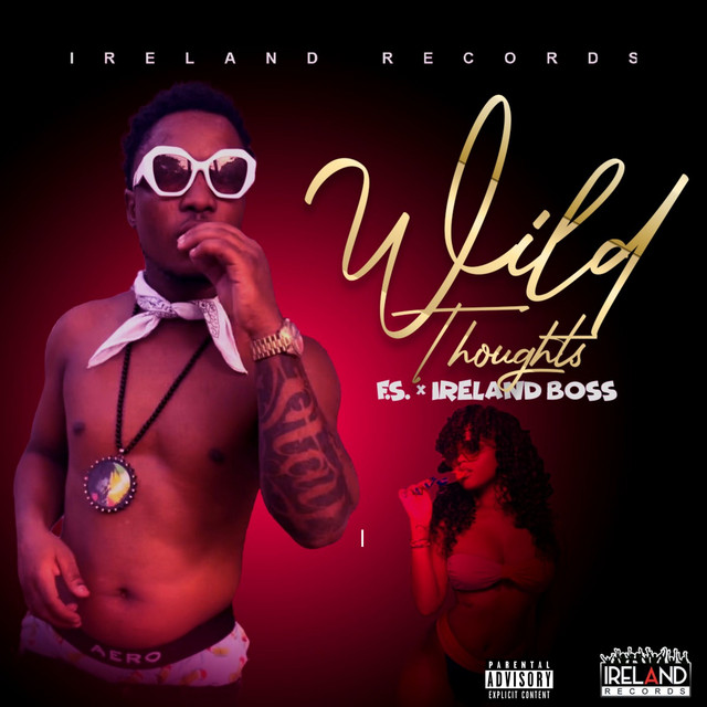 Wild Thoughts Single by F.S. Spotify