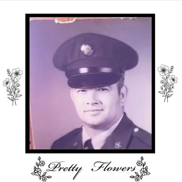 Pretty Flowers song and lyrics by The Stray Dogs Spotify