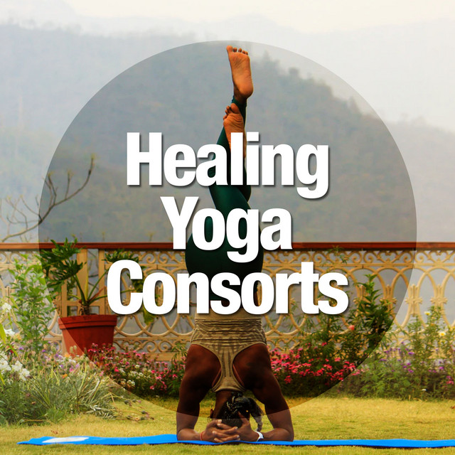 Healing Yoga Consorts ! ! ! ! Album by Healing Yoga Meditation Music