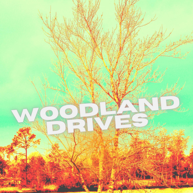 Woodland Drives EP EP by Woodland Drives Spotify