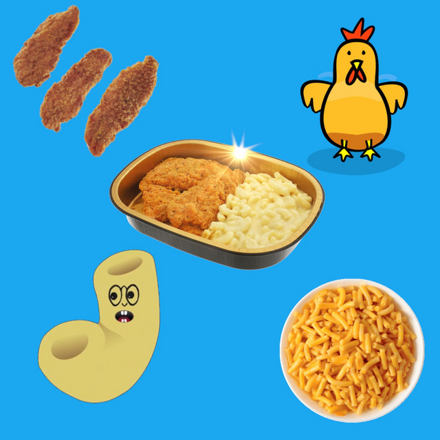 Macaroni with the Chicken Strips (Remix) Single by Undignified Baby