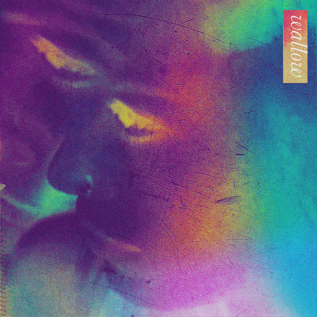 Wallow Album by Animal Ghosts Spotify