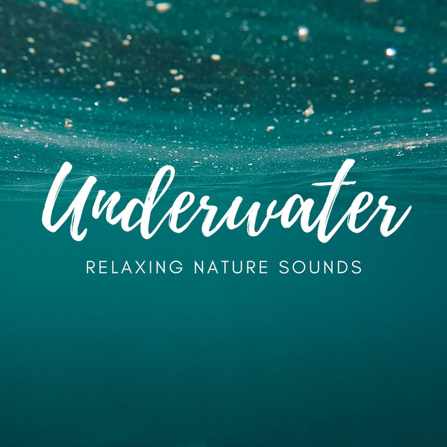 Underwater Relaxation (Deep Sleep, Meditation & Study) Album by