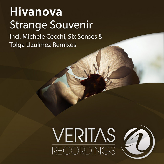 Strange Souvenir Single by Hivanova Spotify