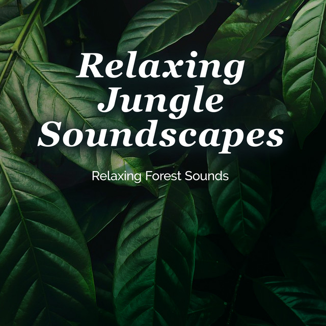 Relaxing Jungle Soundscapes Album by Relaxing Forest Sounds Spotify