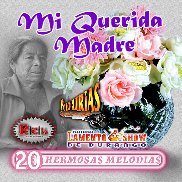 Mi Querida Madre Compilation by Various Artists Spotify