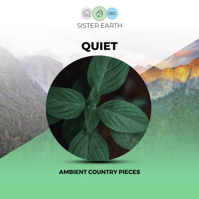 Quiet Ambient Country Pieces EP de Rainforest Sounds Spotify